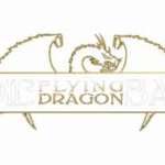 Die Flying Dragon Bar GmbH